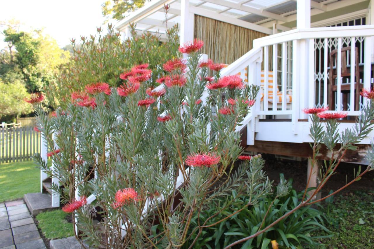 14 Mount Joy Hotell Knysna Exteriör bild